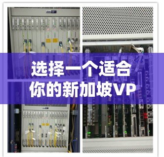 选择一个适合你的新加坡VPN服务器需要综合考虑以下几个方面 选择一个适合你的新加坡VPN服务器需要综合考虑以下几个方面