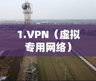 1.VPN(虚拟专用网络) 1.VPN(虚拟专用网络)
