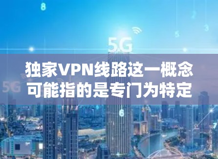 独家VPN线路这一概念可能指的是专门为特定用户或企业设计的VPN服务，这些服务通常具有以下特点