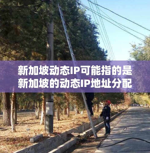 新加坡动态IP可能指的是新加坡的动态IP地址分配机制，或者是与新加坡相关的动态IP服务。以下是一些可能的解释和相关信息