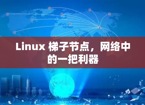 Linux 梯子节点,网络中的一把利器 Linux 梯子节点,网络中的一把利器