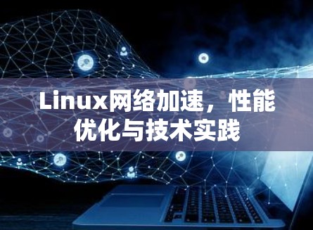 Linux网络加速，性能优化与技术实践
