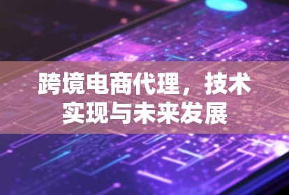 跨境电商代理，技术实现与未来发展