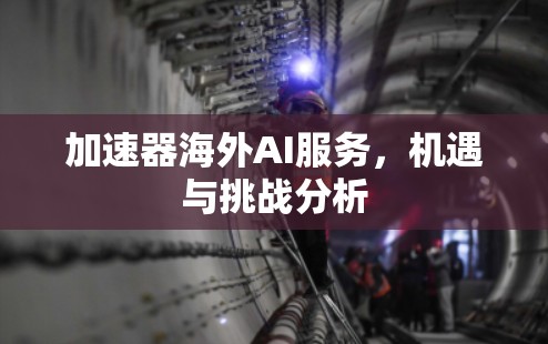 加速器海外AI服务，机遇与挑战分析