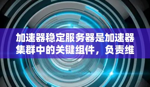 加速器稳定服务器是加速器集群中的关键组件，负责维持集群的稳定性、负载均衡和故障恢复。以下是对加速器稳定服务器的详细分析