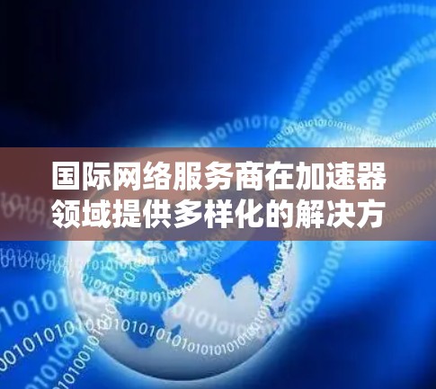 国际网络服务商在加速器领域提供多样化的解决方案，满足不同客户的需求。以下是对这些服务商的详细分析