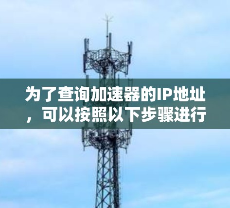 为了查询加速器的IP地址，可以按照以下步骤进行