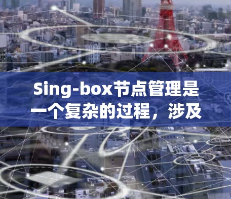 Sing-box节点管理是一个复杂的过程，涉及多个方面，确保节点稳定、高效运行。以下是对节点管理的详细步骤和建议