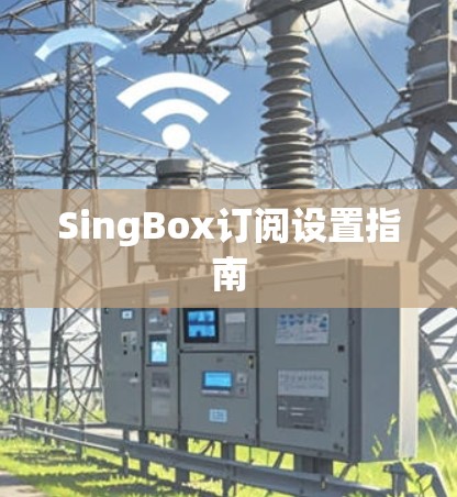 SingBox订阅设置指南