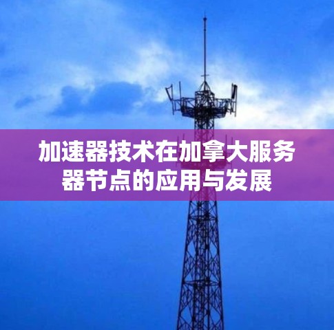 加速器技术在加拿大服务器节点的应用与发展 加速器技术在加拿大服务器节点的应用与发展